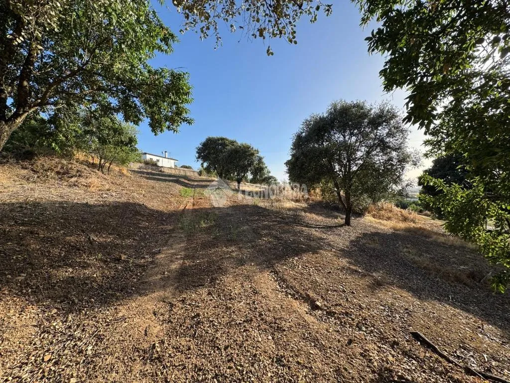 Aed - Rustic Land with Potential in Badajoz