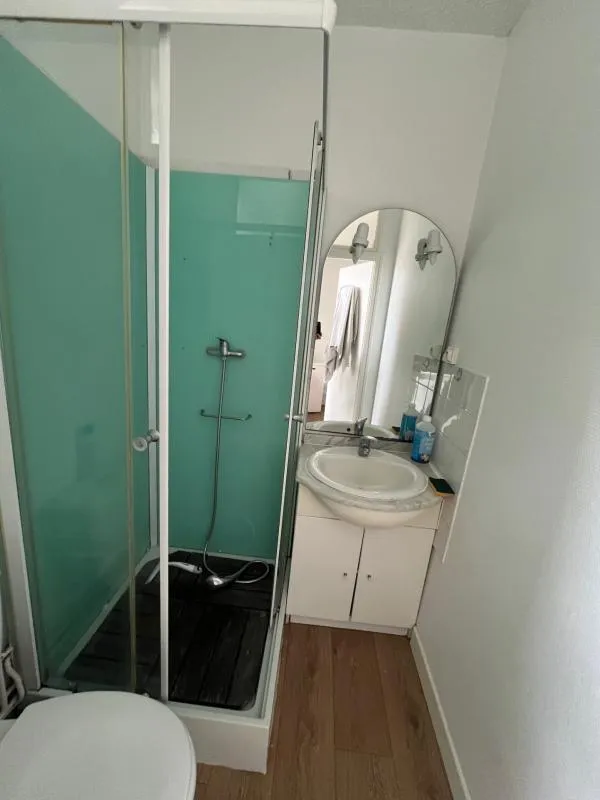 Salles de bain - Appartement Meublé Lumineux à Dijon