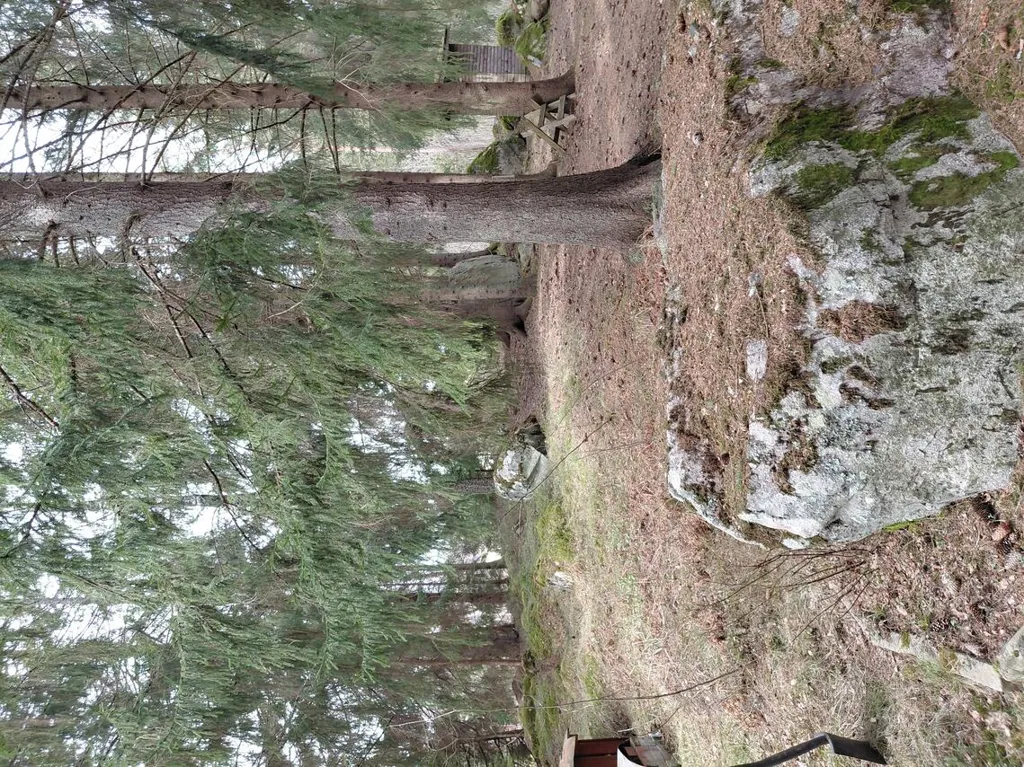 Terrain à Porvoo