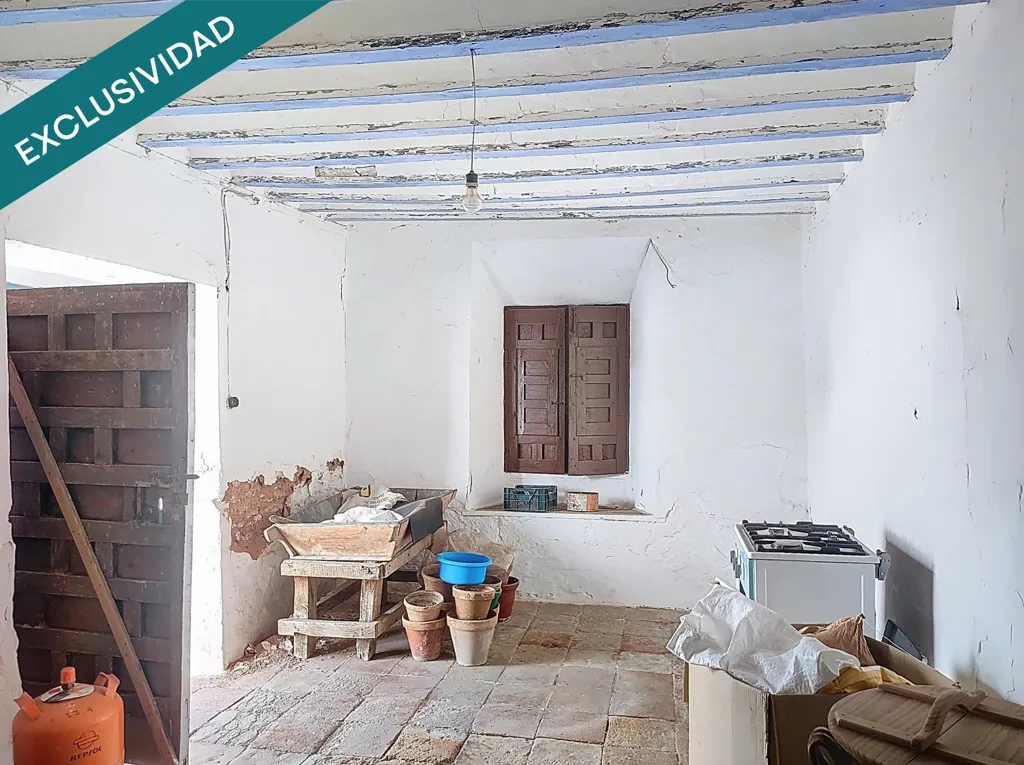 Toad - Detached House with Large Plot in Almagro