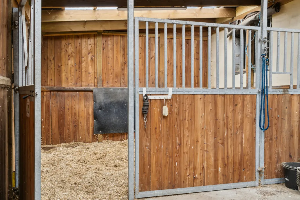 Toad - Villa with Equestrian Facilities in Hillerød