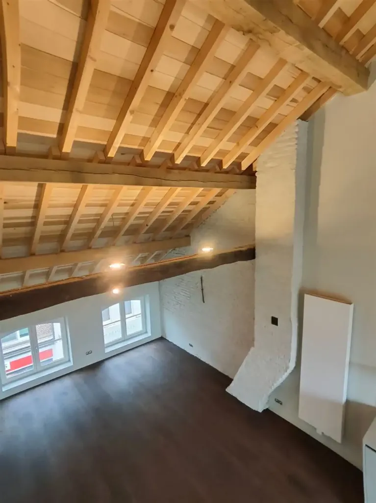 Stanze - Duplex Loft with Terrace in Maaseik Centre