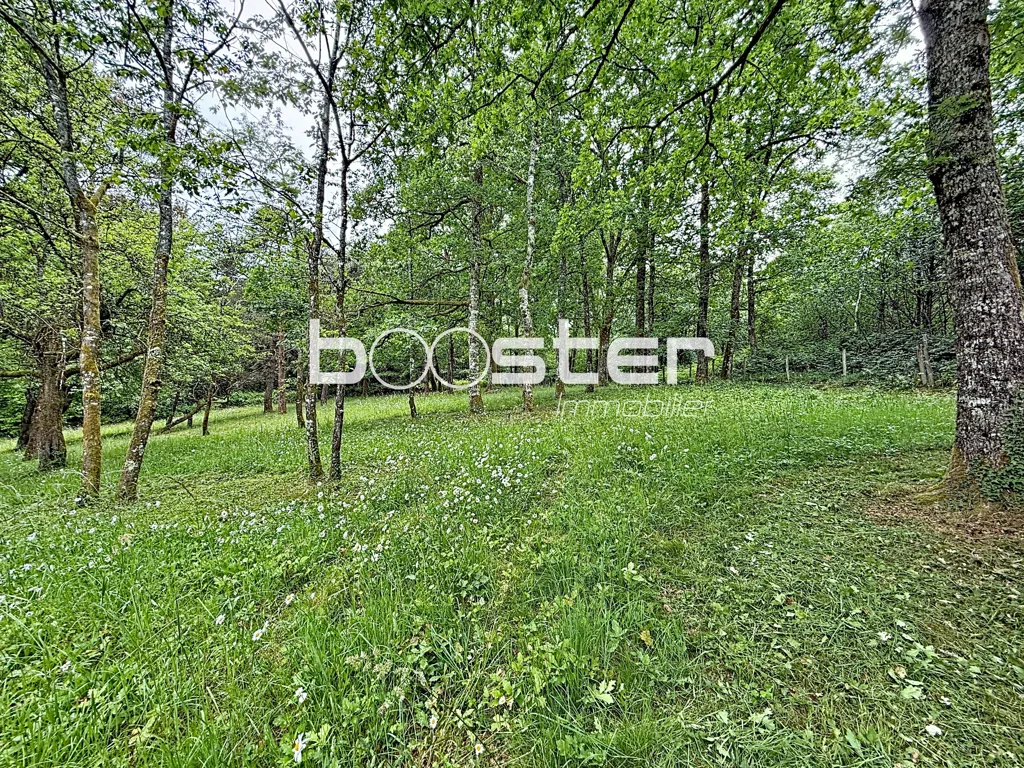 Giardino - Detached House with Garden in Ladignac-le-Long