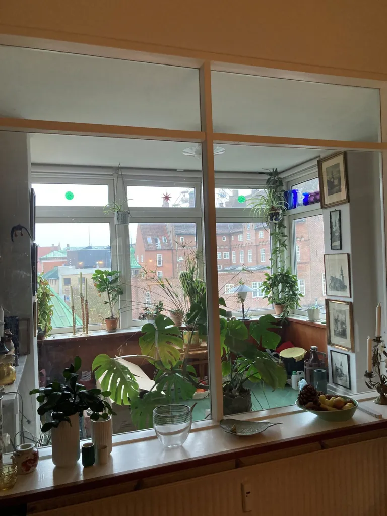 Séjour - Charming 3-Bed Apartment in Aalborg Centre