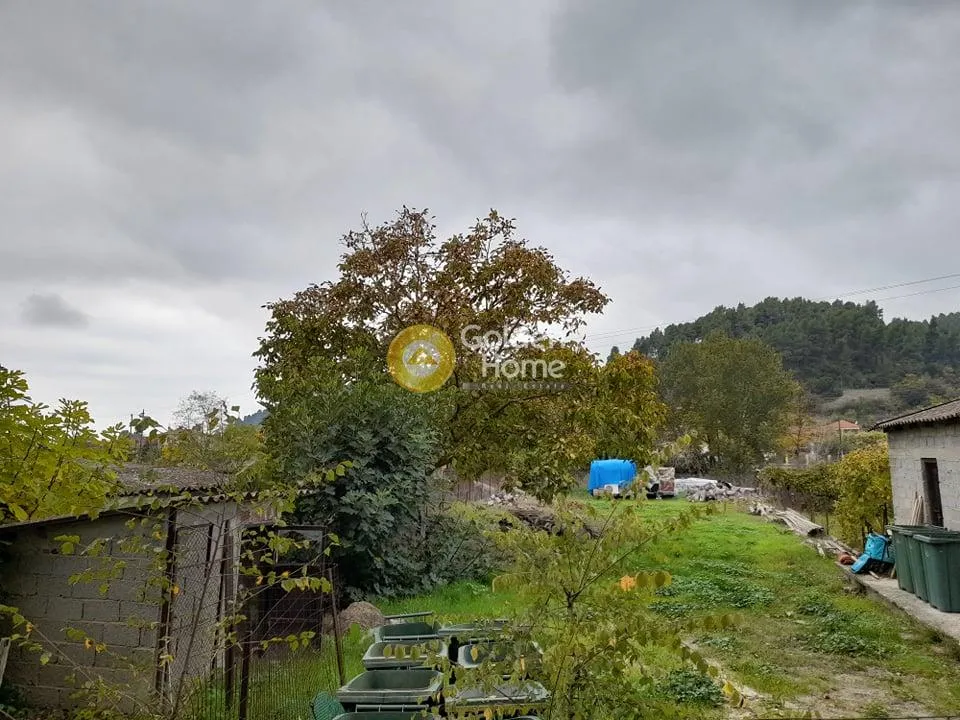 Aed - Buildable Plot with Forest View in Kassandra