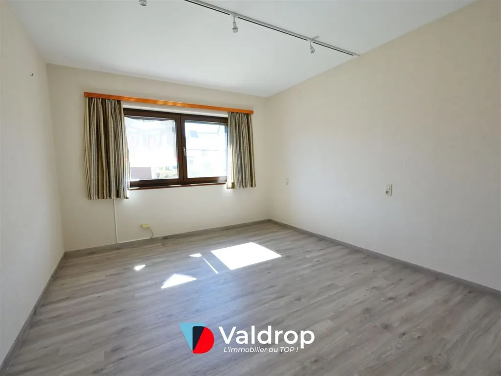 Toad - House with Potential in Arlon