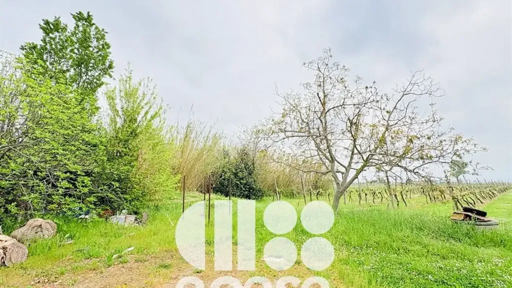 Jardin - Rustic House to Renovate in Cesenatico