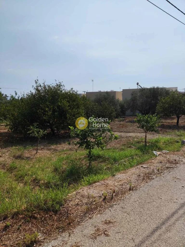 Aed - Plot with Lemon Trees in Xylokastro-Melissi