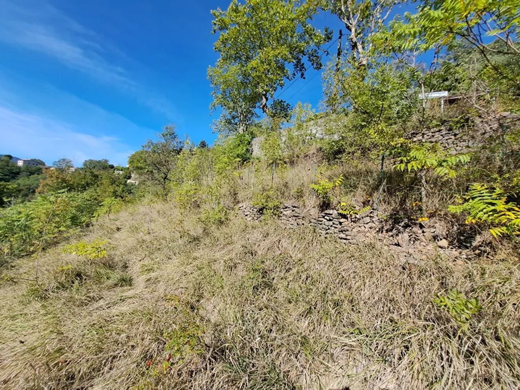 Jardin - Maison avec Garage et Terrain à Proximité du Centre-Ville