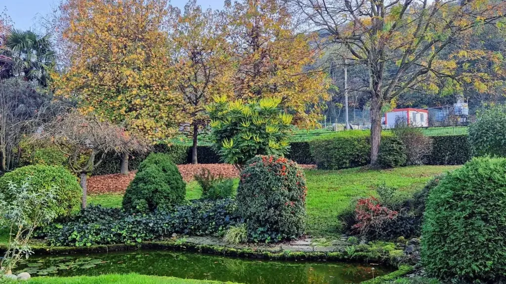 garden