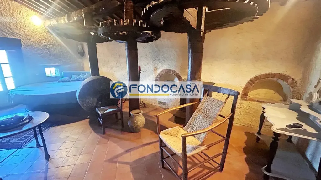 Toad - Historic Mill with Garden in Camaiore