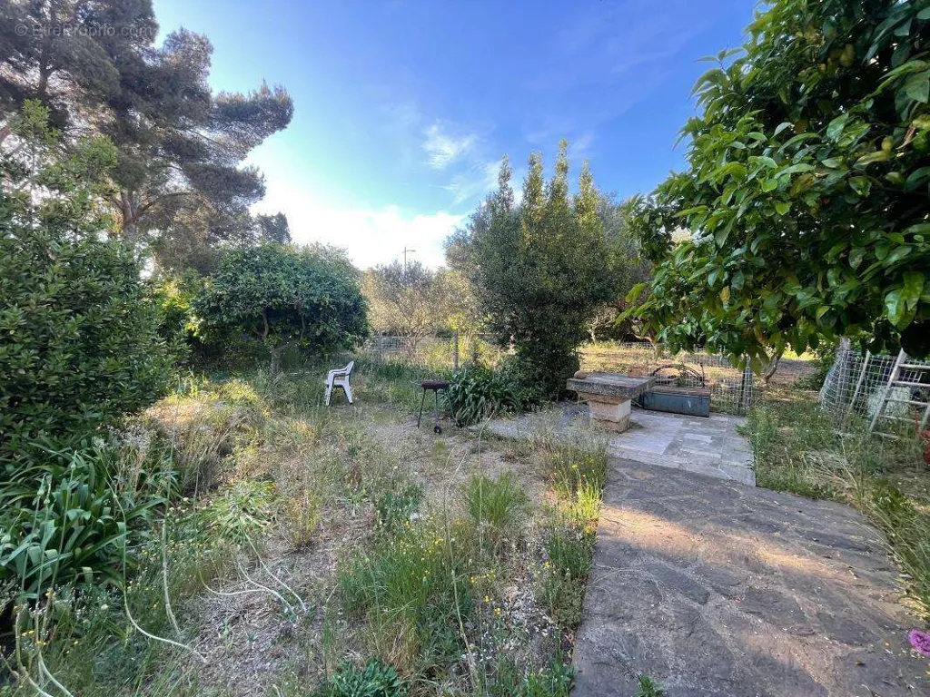 Garden - Versatile Property with Garden in La Seyne-sur-Mer