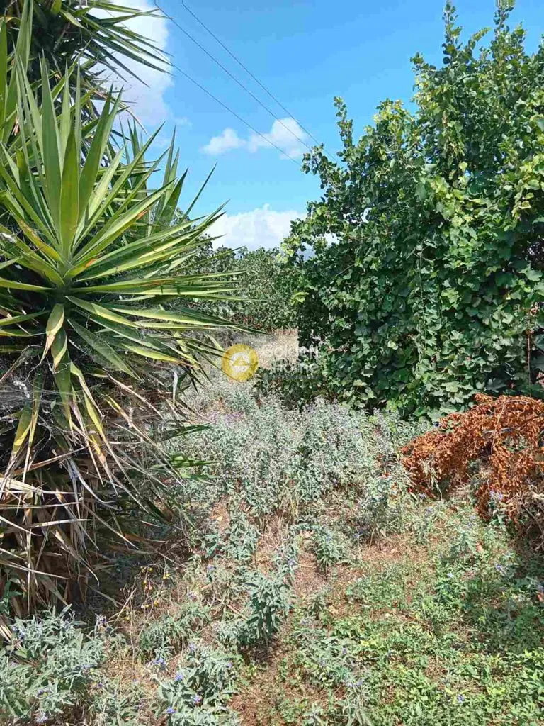 Aed - Agrarian Plot with Sea View in Nea Peramos