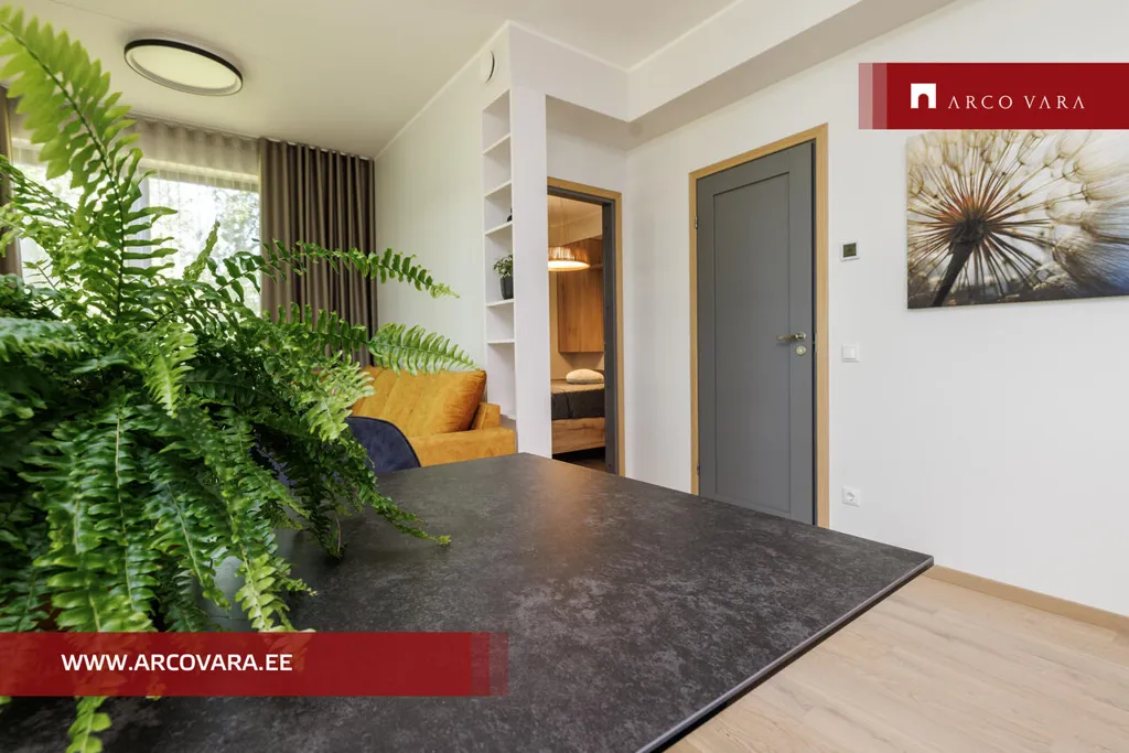living_room