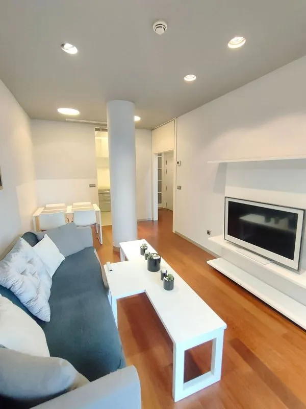 Séjour - 1-Bed Apartment with Balcony in Abando