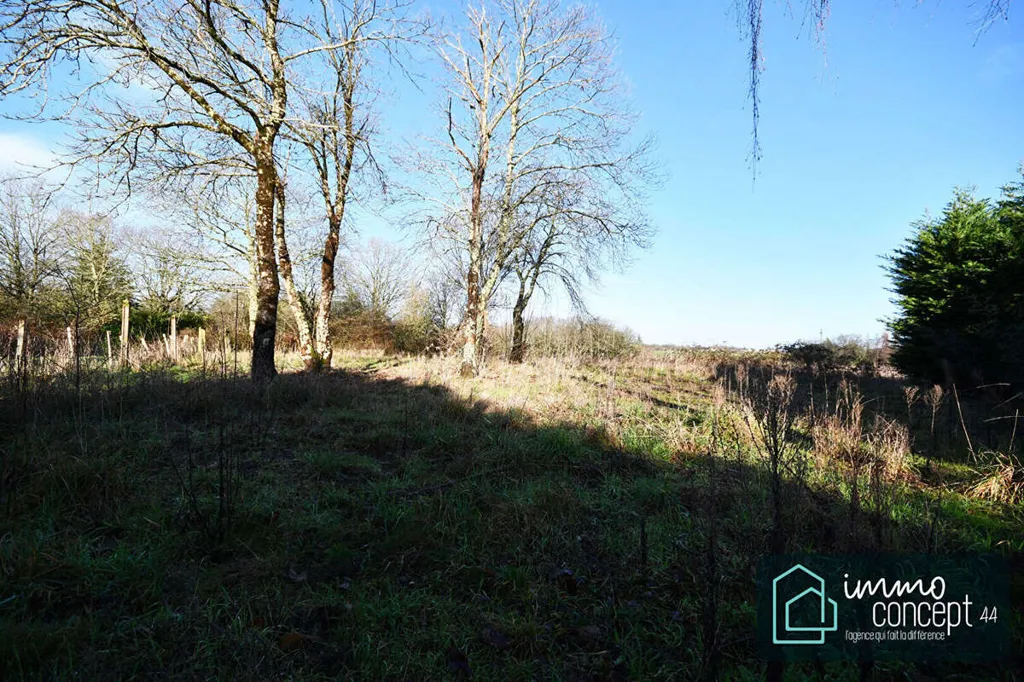 Garden - Detached House with Garden in Bouaye