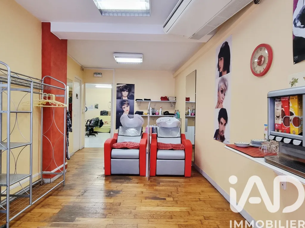 Toad - Established Salon with Parking in Toury