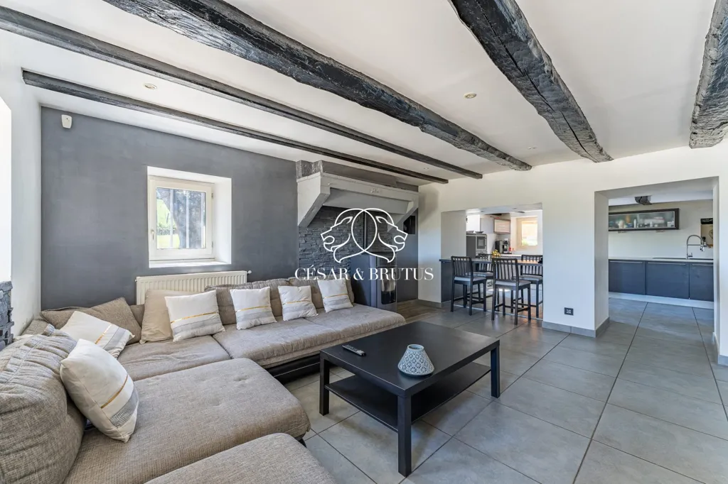 Elutuba - Renovated Stone House with Pool in Chozeau