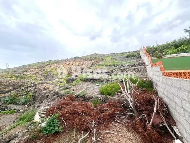 Jardin - Duplex with Sea View and Garden in Güímar