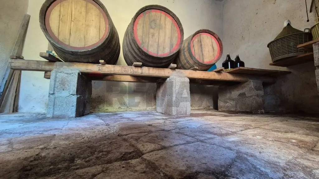 Toad - Rustic House with Olive Grove in Allai