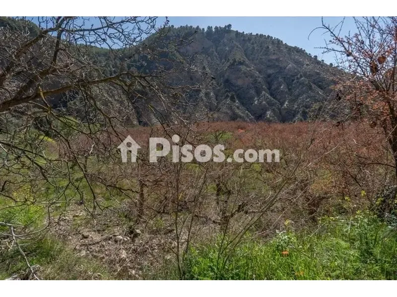 Giardino - Rustic Finca with Mountain View in Cónchar