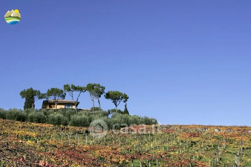 Jardin - Panoramic Villa with Private Park in Notaresco