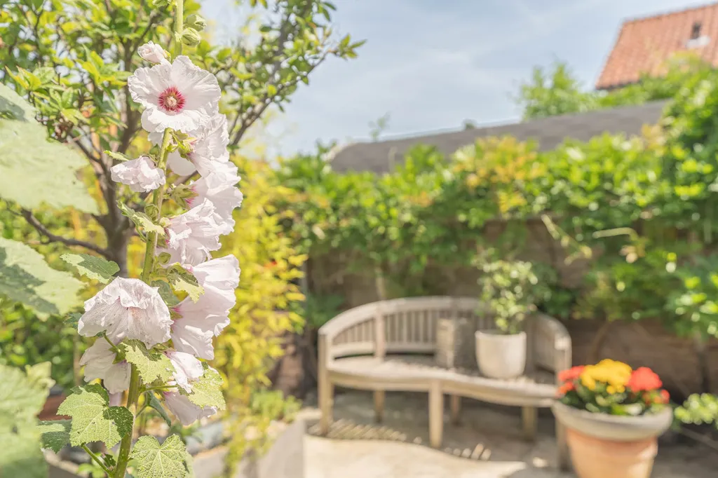 Garden - Detached House with Private Garden in Yerseke