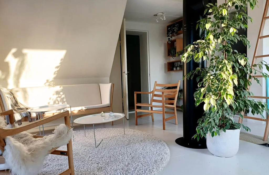 living_room