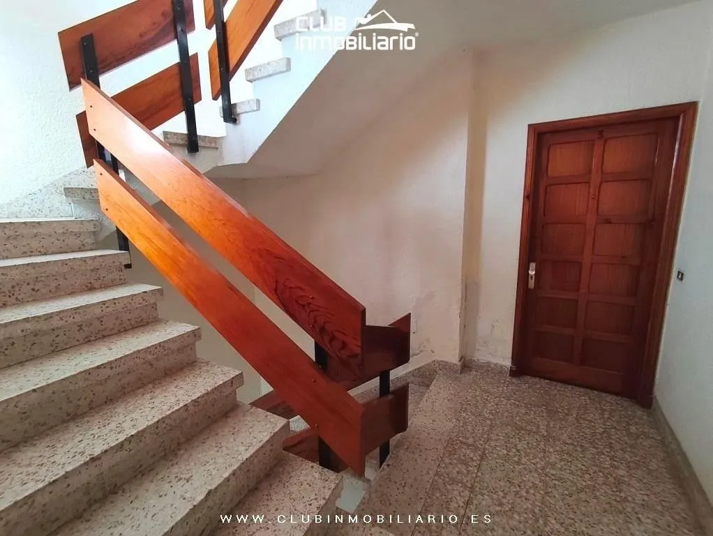 Toad - Luxury Apartment Complex with Balconies in La Laguna