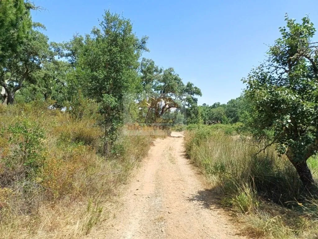 Garden - Development Land with Mountain Views in Grândola