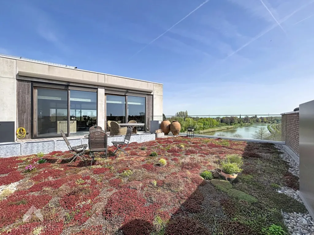 terrace_patio