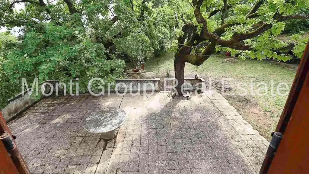 Jardin - Rustic Farmhouse with Vineyard View in Strevi