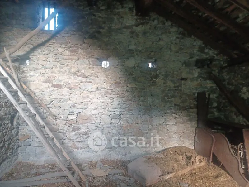 Toad - Walser Rustico with Garden in Issime