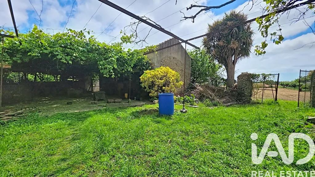 Garden - Restoration Property with Garden in Maceda