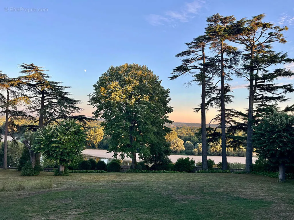 Aed - House with Loire View in Rochecorbon