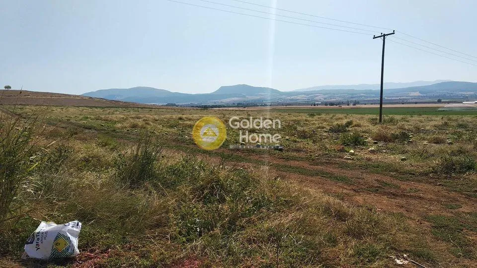 Aed - Flat Agricultural Plot near Thebes Industrial Zone