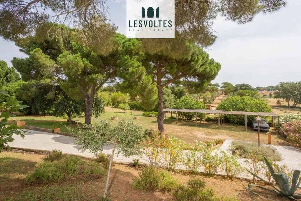 Jardin - Luxury Villa with Pool in Mont-ras, Costa Brava