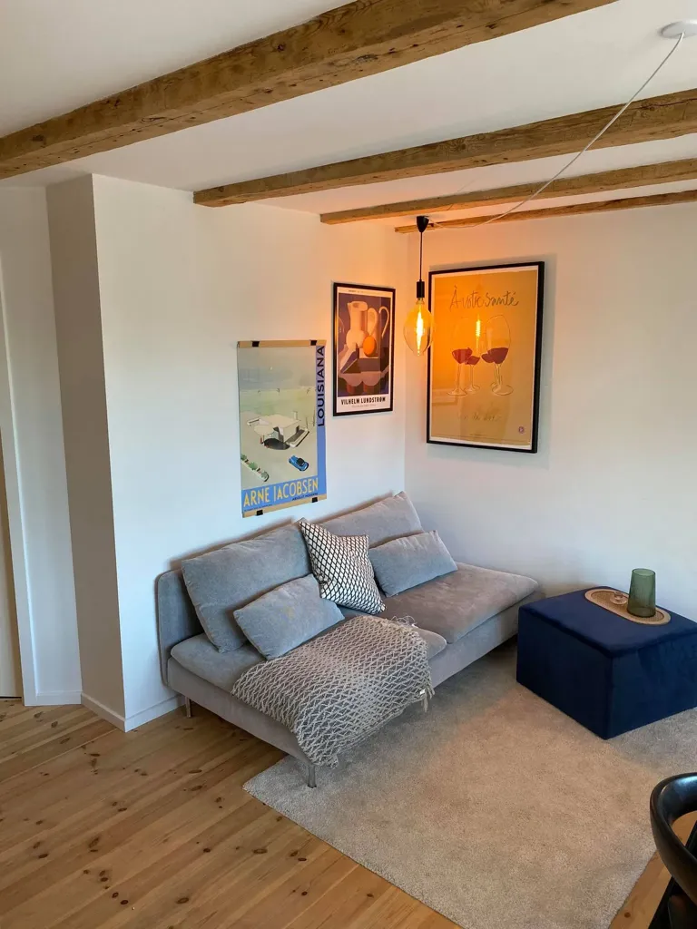 Elutuba - Renovated 3-Bedroom Flat in Aalborg Centre