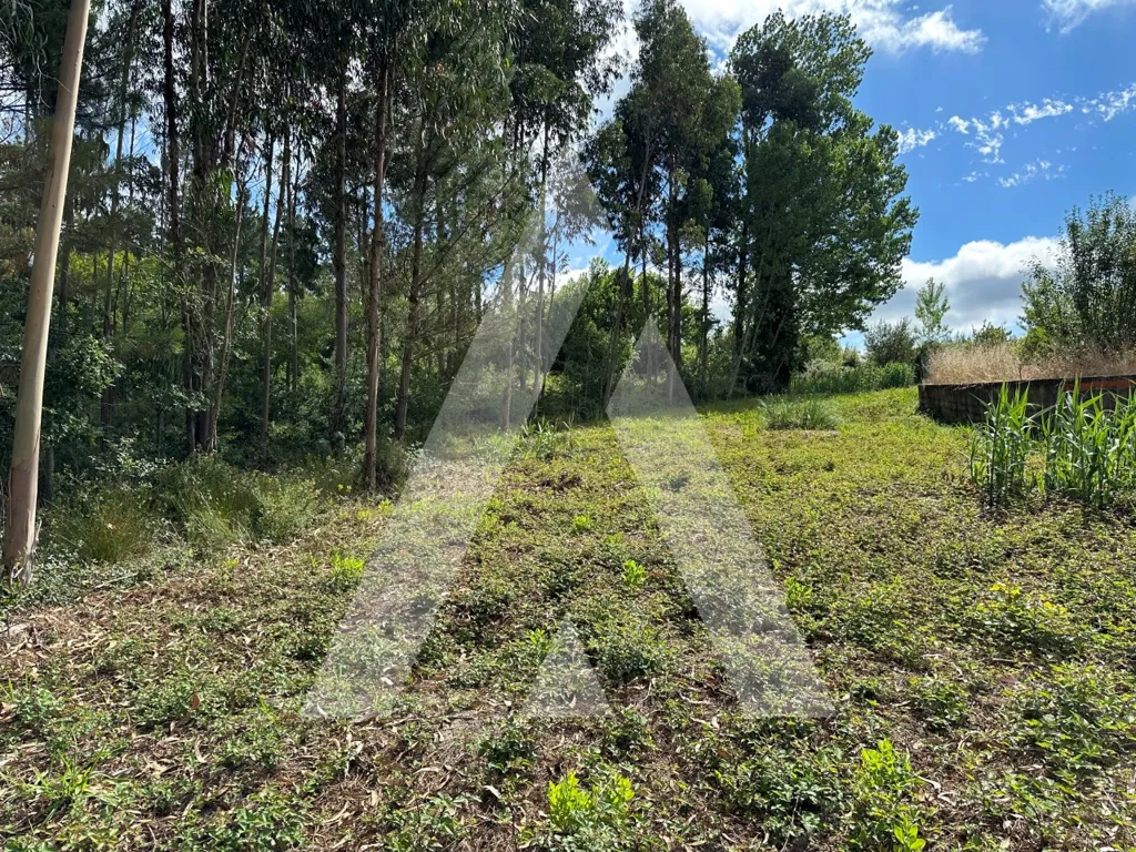 Jardin - Construction Plot with Two Frontages in Bustos