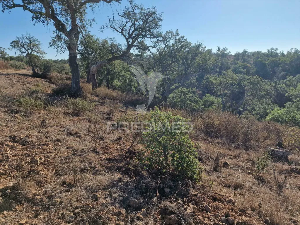 Jardin - Ruin with Construction Potential in São Francisco da Serra