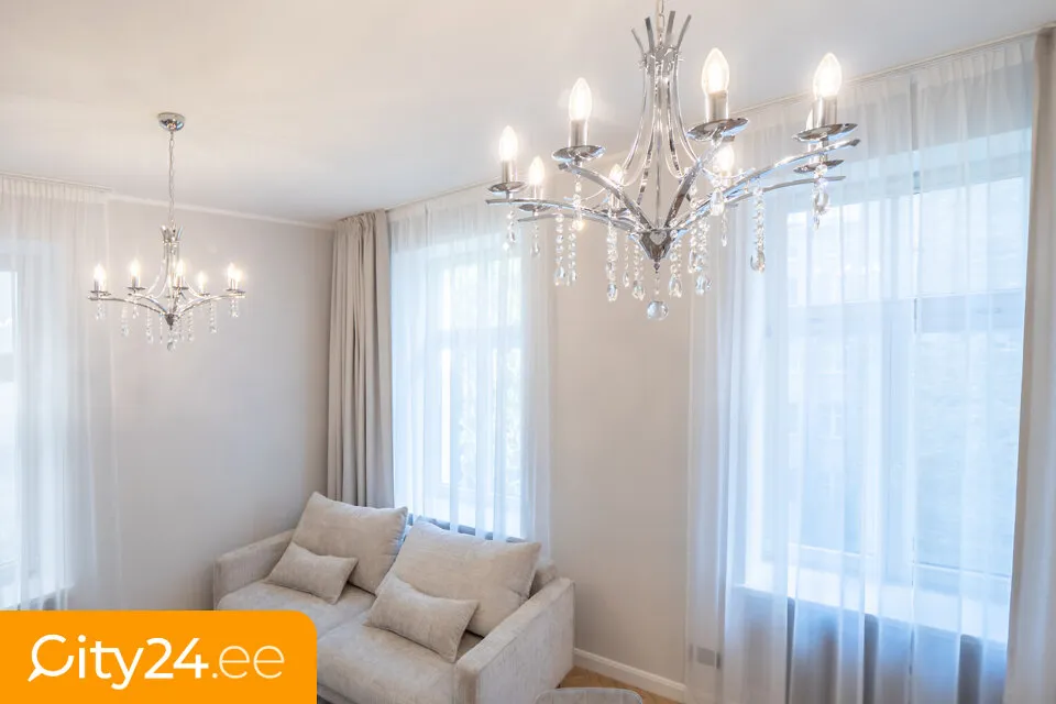 Séjour - Renovated 2-Bedroom Flat in Quiet Centre