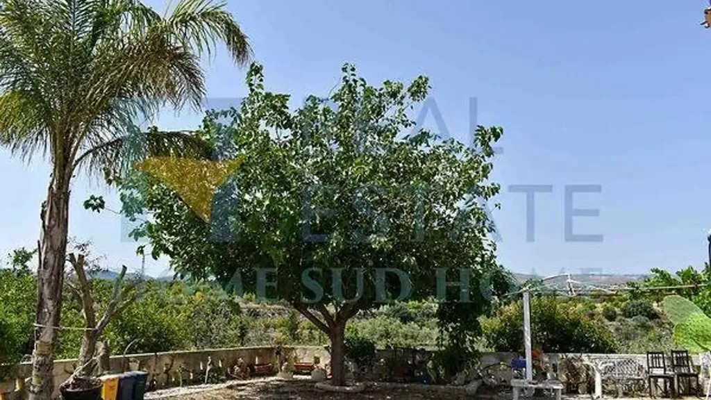 Jardin - Villa with Lemon Grove near Noto