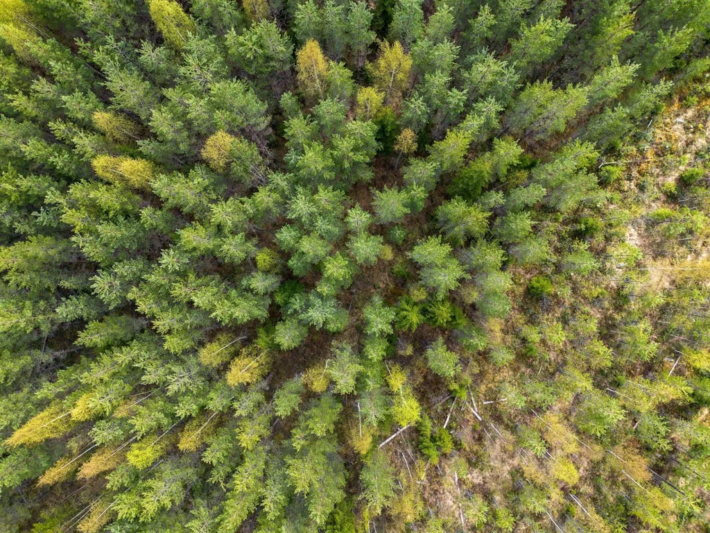 Vue aérienne - Forest Farm with Timber Rights in Östra Jämtland
