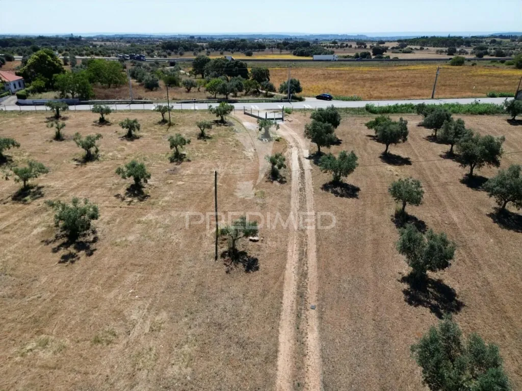 Vue aérienne - Rural Quinta with Olive Grove in Vaqueiros