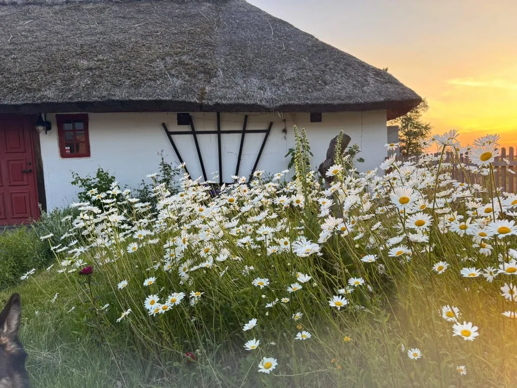 Välivaade - Historic Cross-Vaulted Farmhouse with Restaurant in Halland