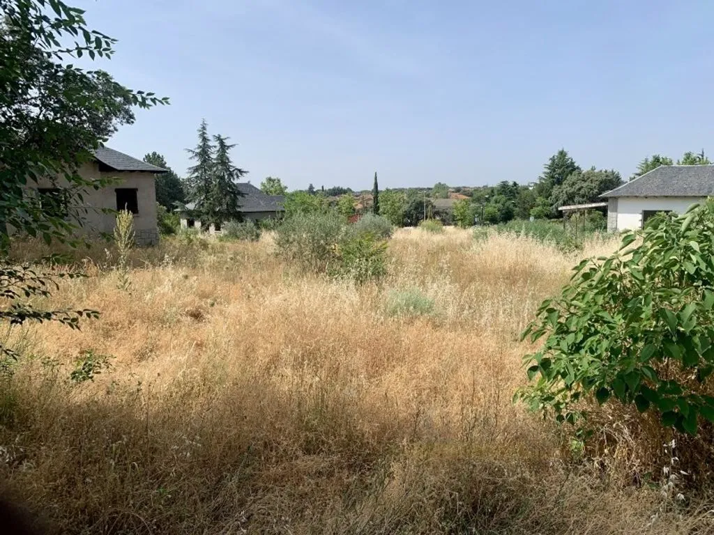 Garden - Urban Development Land near UCM, Colmenarejo