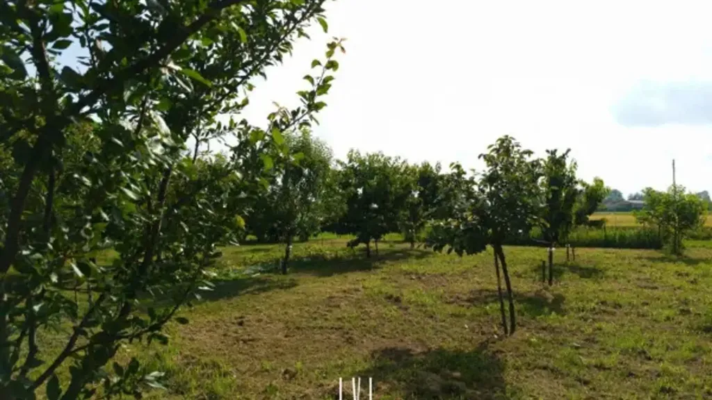 Aed - Villa with Fruit Garden in Jesolo