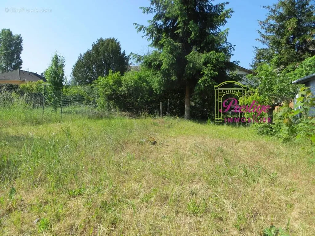 Aed - Luxury House with Greenbelt View in Le Mesnil-le-Roi