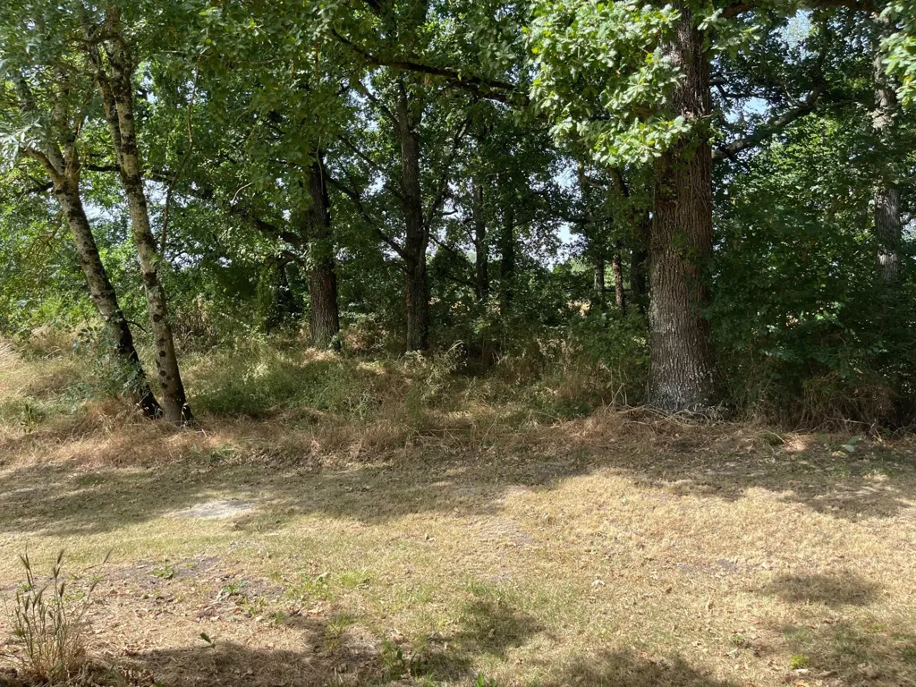 Giardino - Charming House with Orchard in Beaumont-Du-Perigord