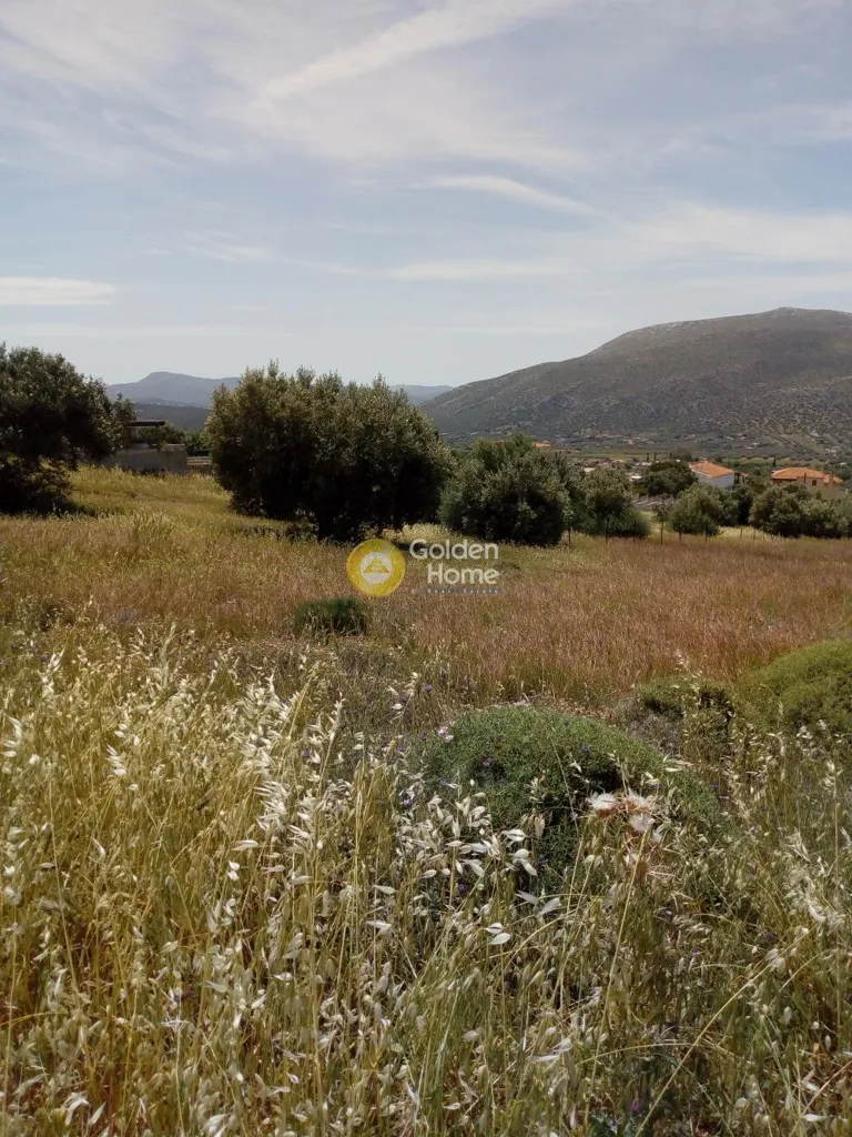 Jardin - Farmhouse with Panoramic View in Lagoni